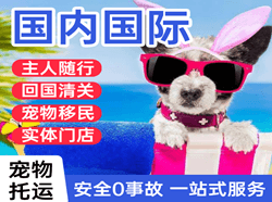 蓬莱机场快运国际宠物托运 【国